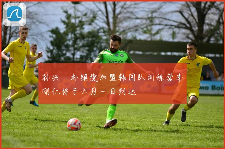 孙兴慜朴镇燮加盟韩国队训练营李刚仁将于六月一日到达