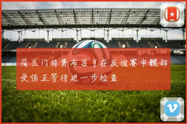 荷兰门将费布吕亨在友谊赛中髋部受伤正等待进一步检查